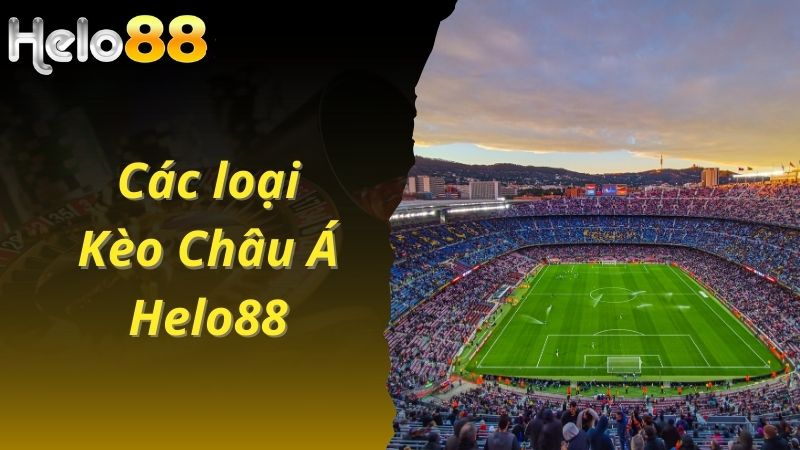 Các loại kèo châu Á Helo88 hiện nay