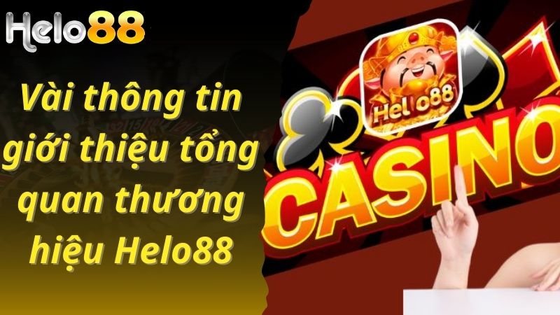 Vài thông tin giới thiệu tổng quan thương hiệu Helo88