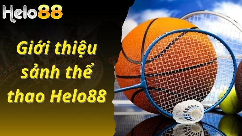 Giới thiệu sảnh thể thao Helo88